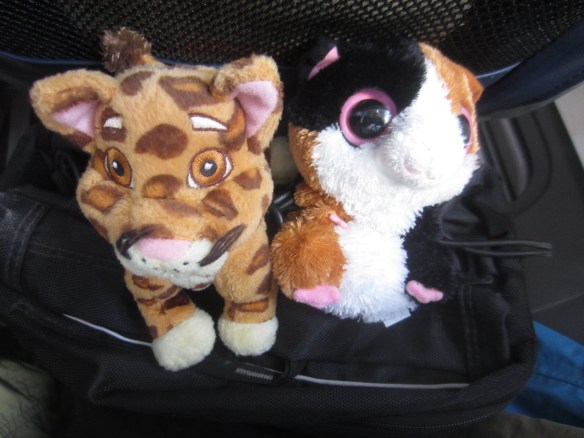Tiger & Sugar on the Road Again