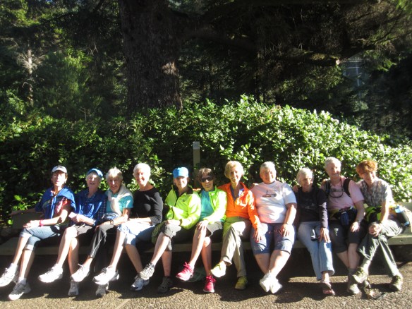 CAPE PERPETUA-HIKE-WHALE WATCHING