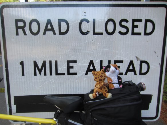 9/27 OH NO SAY SUGAR & TIGER