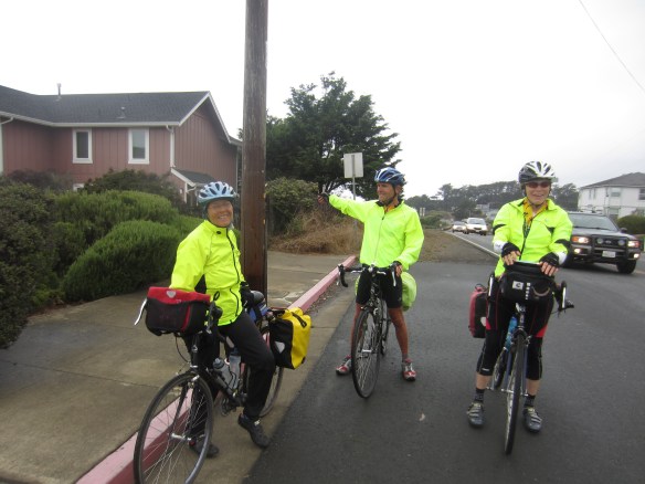 YELLOW JACKETS AT FT. BRAGG