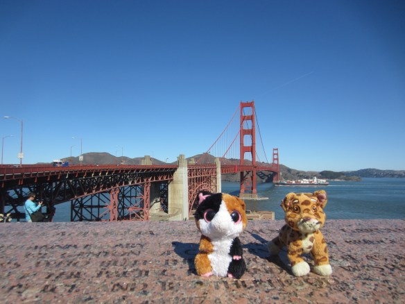SUGAR & TIGER @ GOLDEN GATE BRIDGE