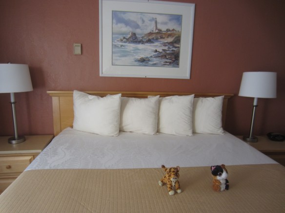 SUGAR & TIGER-4 PILLOWS-1 FOR EACH OF US