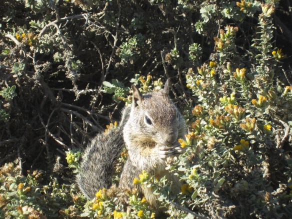 WANTED HIS PICTURE TAKEN