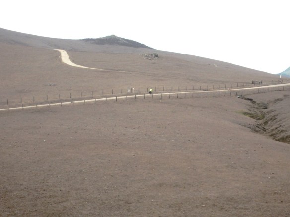 YELLOW JACKET IS WAY OUT IN FRONT