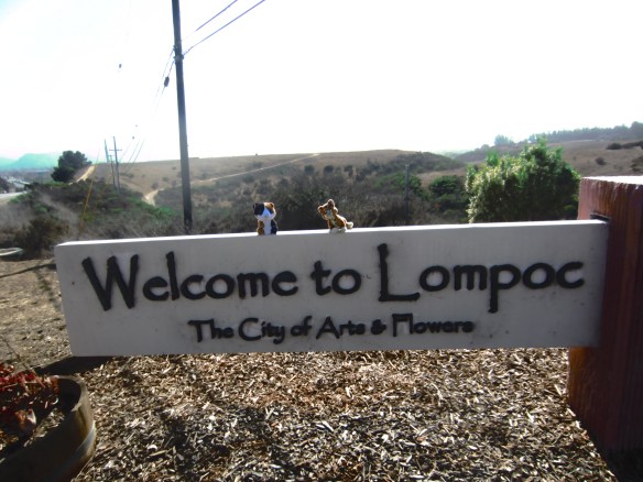 SUGAR & TIGER AT LOMPOC