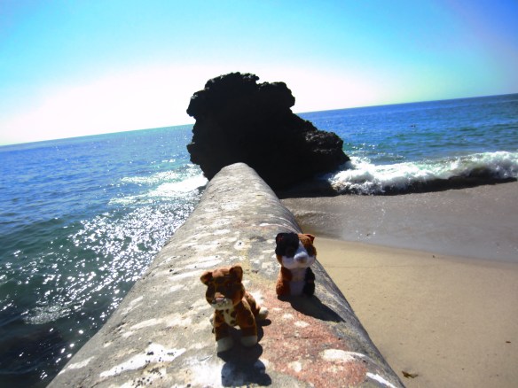 HOPE WE DON'T LOSE OUR BALANCE