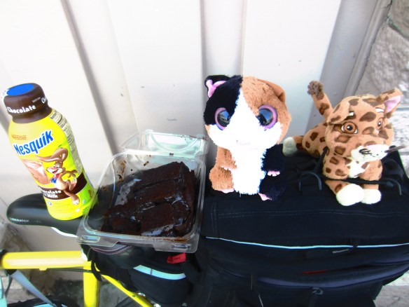 SUGAR & TIGER NEED CHOCOLATE